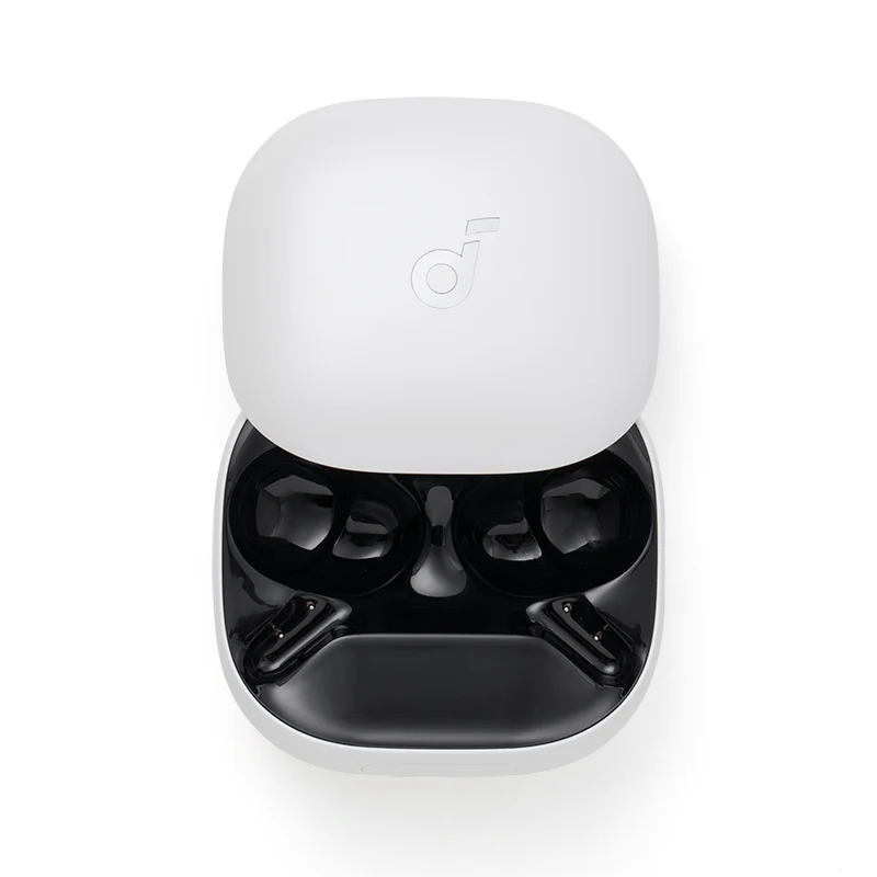 Liberty 4 Pro Ladecase - Image 4